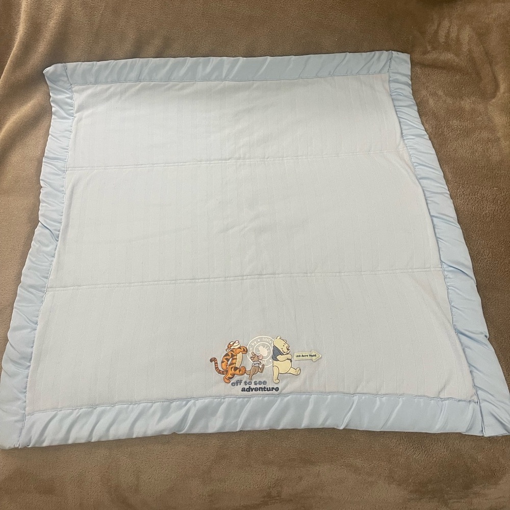 Winnie the Pooh & Friends 39” X 29” Walt Disney Collection Baby Blanket